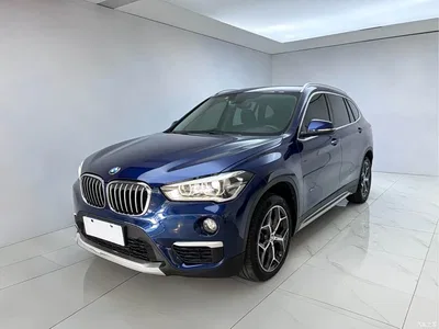 2018 BMW X1 sDrive18Li Premium Model, фото 1, лот 10427772