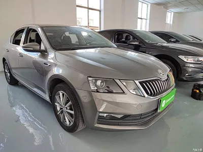 2019 Škoda Octavia 1.5L Auto Comfort Edition, фото 4, лот 10348219