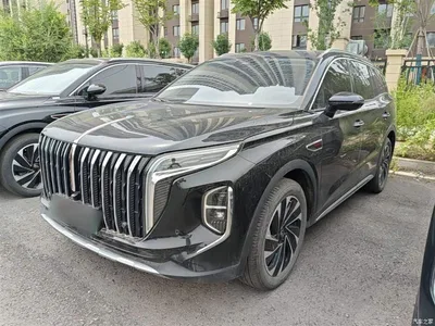 2024 Hongqi HS7 PHEV 2.0T PHEV 4WD Flagship Edition 6-seater, фото 1, лот 10289705