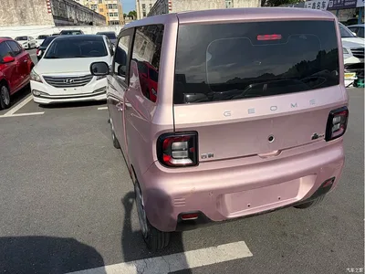 2023 Geely Galaxy Panda Mini 200km Endurance Bear, фото 4, лот 10432287
