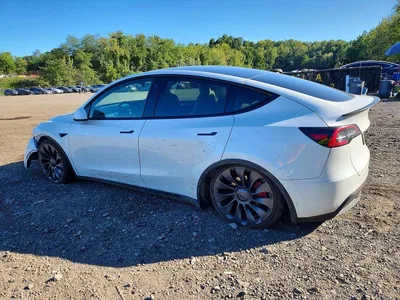 2023 TESLA MODEL Y, фото 2, лот 11185378