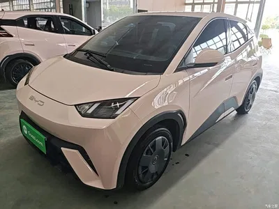 2024 BYD Seagull Glory Edition 305km Vitality Edition, фото 1, лот 10376310