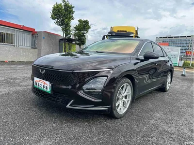 2024 Wuling Motors Wuling Xingguang Co-Creation Edition 150 Advanced, фото 1, лот 11539518