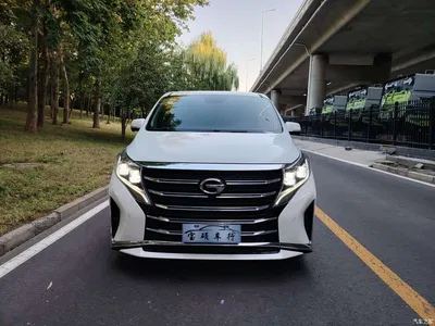 2021 GAC Trumpchi Trumpchi M8 Leading Show Series 390T Ultimate Edition, фото 3, лот 11198758