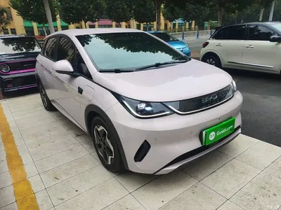 2025 BYD Dolphin Smart Drive Edition 420km Freedom Version, фото 4, лот 10803807