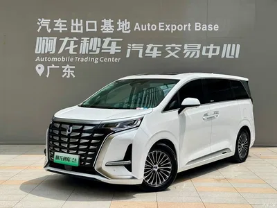 2024 Denza D9 DM-i 980 AWD Prestige, фото 1, лот 10345822