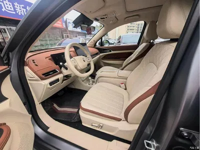 2025 Ora Good Cat 430km Honor Edition, фото 4, лот 11530841