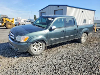 2006 TOYOTA TUNDRA DOUBLE CAB SR5, фото 1, лот 10499762