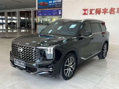 2022 GAC Trumpchi Trumpchi GS8 Pilot Series 2.0TGDI 2WD Luxury Smart Connect Edition (7-Seater), фото 1, лот 10415683