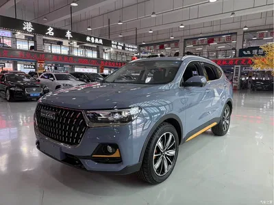 2023 Haval H6 National Trend Edition 1.5T Automatic Champion, фото 1, лот 10296655