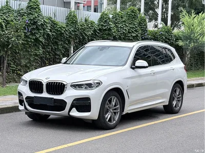 2020 BMW X3 xDrive28i M Sport Package, фото 1, лот 10407621