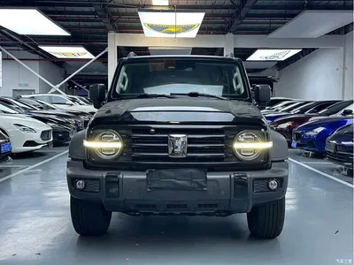 2024 Tank 300 Model 2.0T Challenger, фото 2, лот 11511815