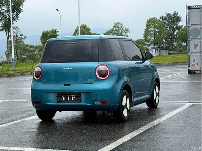 2022 Changan Qiyuan Changan Lumin 155km Fresh Edition, фото 4, лот 10407890