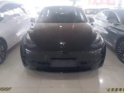 2023 Tesla Model Y Rear-Wheel Drive Edition, фото 3, лот 10476330