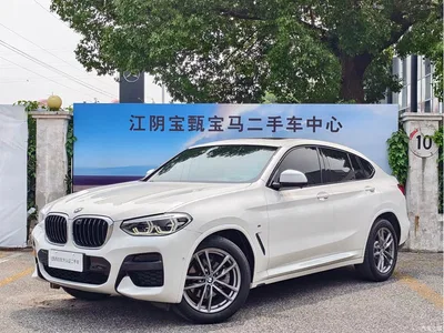 2019 BMW X4 xDrive25i M Sport Package, фото 1, лот 10420834