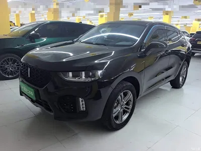 2019 WEY VV5 2.0T 2WD Final Edition, фото 2, лот 10452309