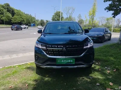 2022 Dongfeng Fengxing T5 Golden Age 1.5T Automatic Far Dream 7-seater, фото 3, лот 11158867