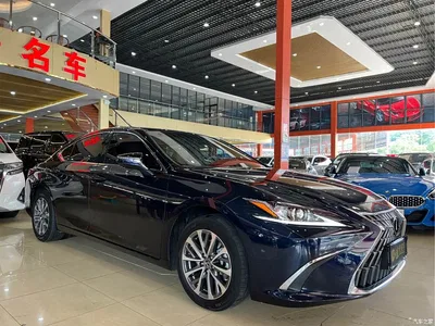 2022 Lexus ES 200 Excellence Edition, фото 3, лот 11136630