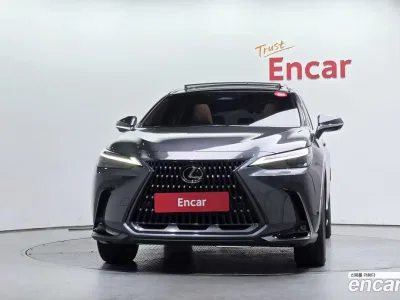 2024 Lexus NX 350h Luxury, фото 3, лот 11257936