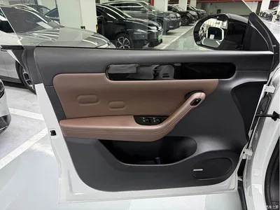 2023 Leapmotor C11 Pure Electric 500 Comfort Edition, фото 4, лот 10443914