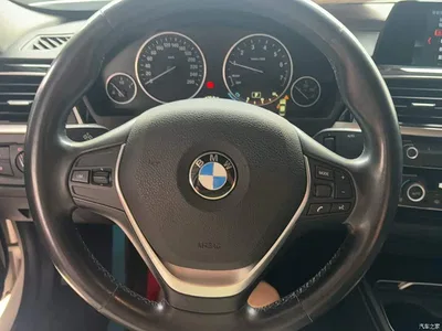 2018 BMW 3 Series 320Li Fashion Style, фото 3, лот 10457706