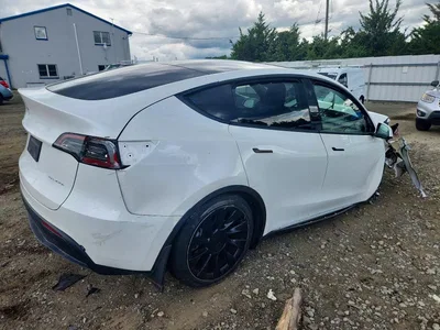 2023 TESLA MODEL Y, фото 3, лот 10852525