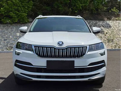 2023 Škoda Karoq TSI280 Premium Edition, фото 2, лот 10348993