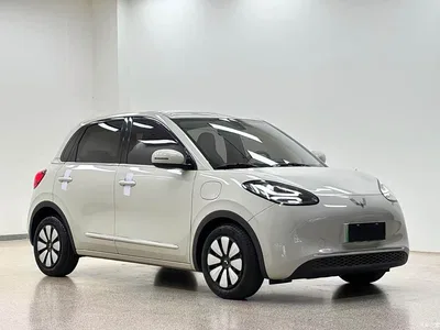 2023 Wuling Motors Wuling Bingo Model 333km Joy+ Version, фото 3, лот 10625496