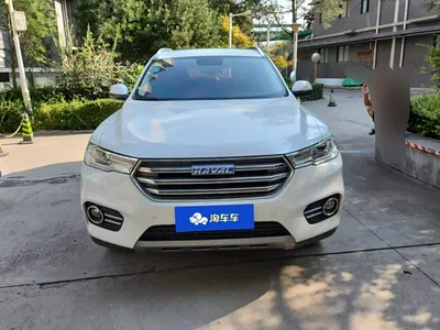 2017 Haval H6 Blue Label 1.5T Automatic 2WD Smart Style, фото 3, лот 10306865