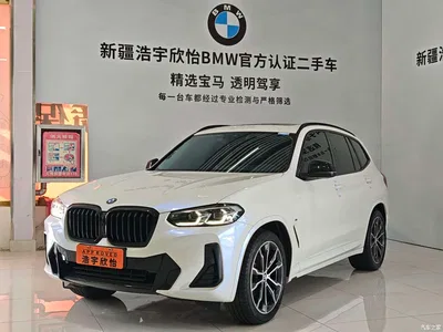 2022 BMW X3 Facelift xDrive30i Leading M Shadow Edition, фото 1, лот 10411791