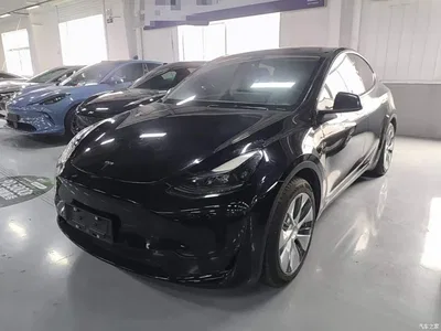 2022 Tesla Model Y Rear-Wheel Drive Version, фото 2, лот 10370862