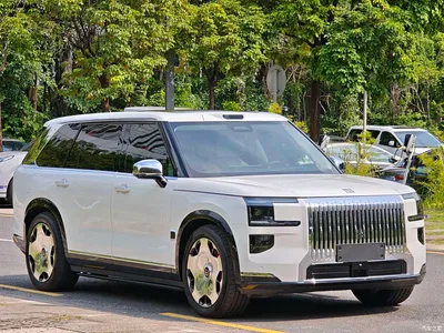 2025 ZEEKR 9X Model Standard, фото 3, лот 10405885