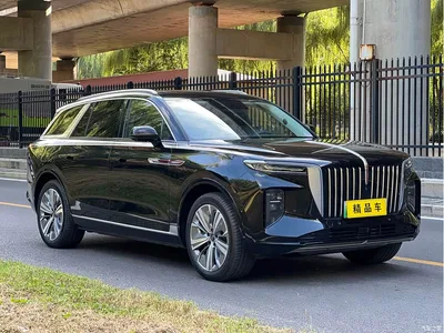 2022 Hongqi E-HS9 690km Qi Xiang Edition (6-seater), фото 3, лот 10288548