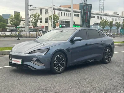 2023 BYD Seal Champion Edition 550km Premium, фото 1, лот 10516251