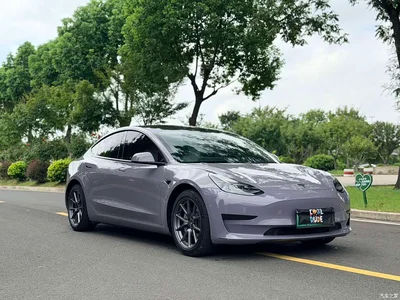 2022 Tesla Model 3 Model Rear-Wheel Drive Version, фото 2, лот 10351941