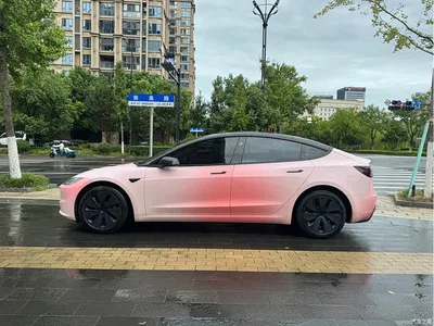 2023 Tesla Model 3 Rear-Wheel Drive, фото 3, лот 10366449