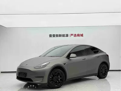 2024 Tesla Model Y Long Range AWD, фото 1, лот 11023457