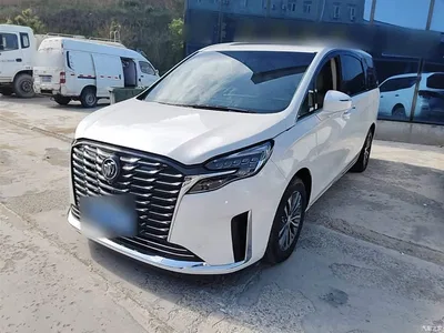 2023 Buick GL8 ES Landmaster Exclusive, фото 1, лот 10262288