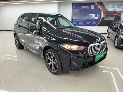 2023 BMW X5 xDrive 30Li Premium M Sport Black Night Package, фото 4, лот 10388215