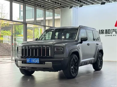 2025 Haval Menglong 2.0T 4WD Ultra, фото 1, лот 11204305