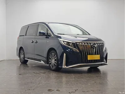 2021 GAC Trumpchi Trumpchi M8 Master Series 390T Prestige Edition, фото 2, лот 10414931