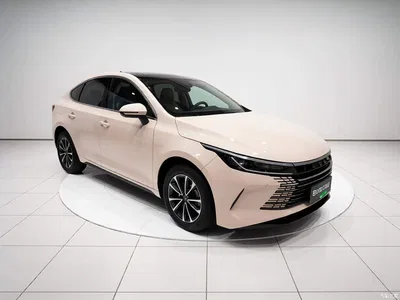 2024 BYD Destroyer 05 Glory Edition DM-i 55KM Luxury, фото 3, лот 10390238