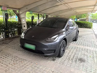 2024 Tesla Model Y Rear-Wheel Drive Version, фото 2, лот 10679912