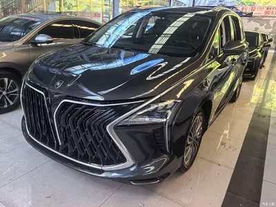 2023 Dongfeng Fengxing Yacht 1.5T DCT Starlight Luxury, фото 1, лот 11159310