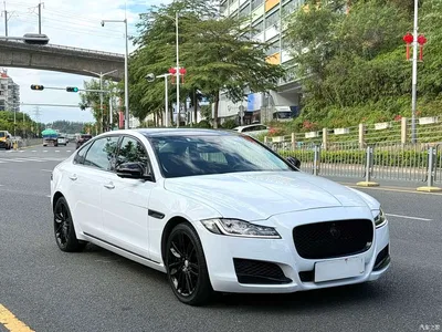 2020 Jaguar XFL 2.0T P250 4WD Premium Edition, фото 3, лот 10360638