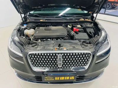 2022 Lincoln Adventurer 2.0T 2WD Deluxe Edition, фото 2, лот 10357688