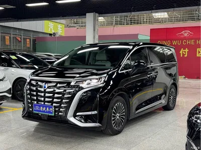 2024 Denza D9 DM-i 1050 Premium, фото 1, лот 10346414