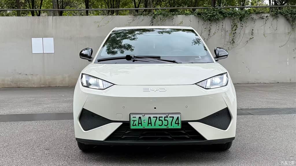 2025 BYD Seagull Smart Drive Edition 305km Freedom Version, фото 2, лот 11230587