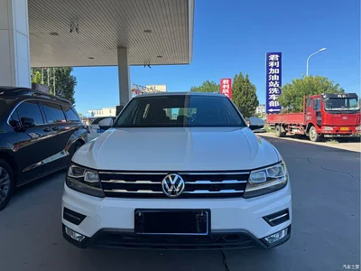 2017 Volkswagen Tiguan L 330TSI Automatic 2WD Luxury Edition, фото 2, лот 10425366