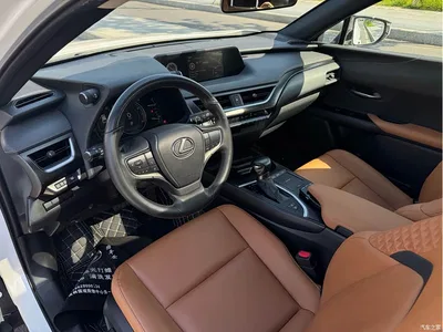 2020 Lexus UX 200 Special Edition, фото 4, лот 10318464